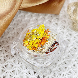 ECLIPSE Декор для ногтей Сухоцветы 216 Yellow купить недорого в интернет магазине Beauty Prof с доставкой по Хабаровску и регионам России