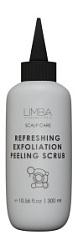 LIMBA COSMETICS Пилинг-скраб для кожи головы 300 мл купить недорого в интернет магазине Beauty Prof с доставкой по Хабаровску и регионам России